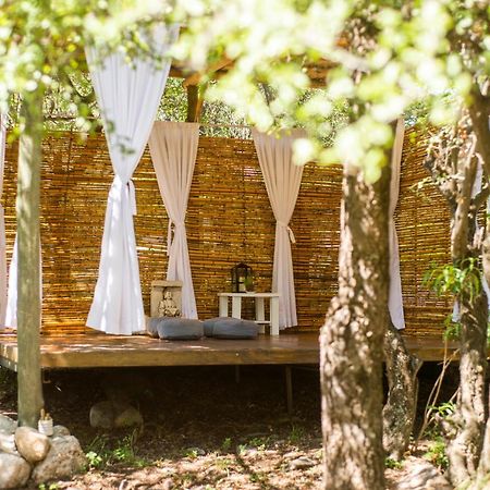 Las Dalias Villa Las Rosas Dış mekan fotoğraf