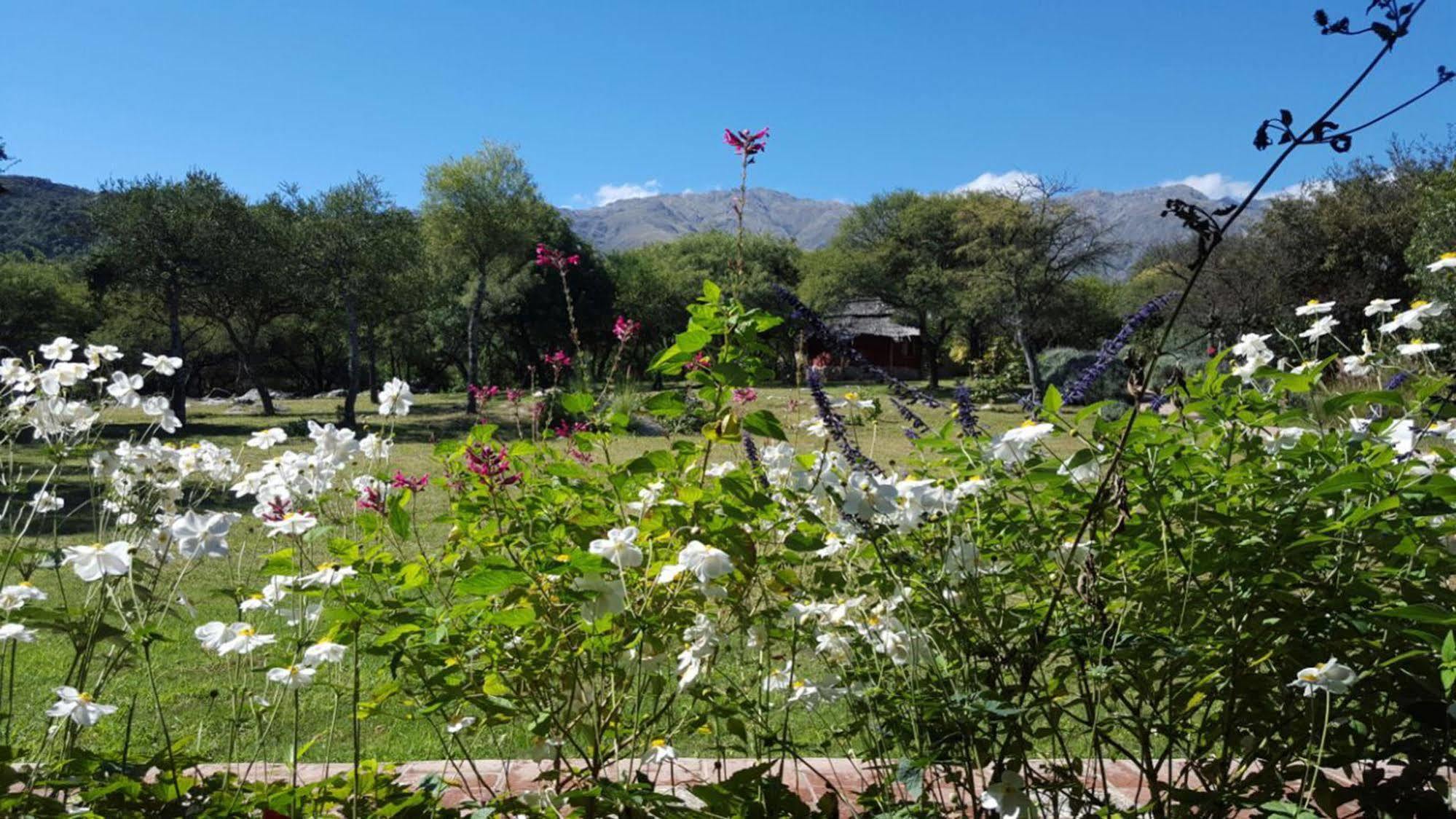 Las Dalias Villa Las Rosas Dış mekan fotoğraf