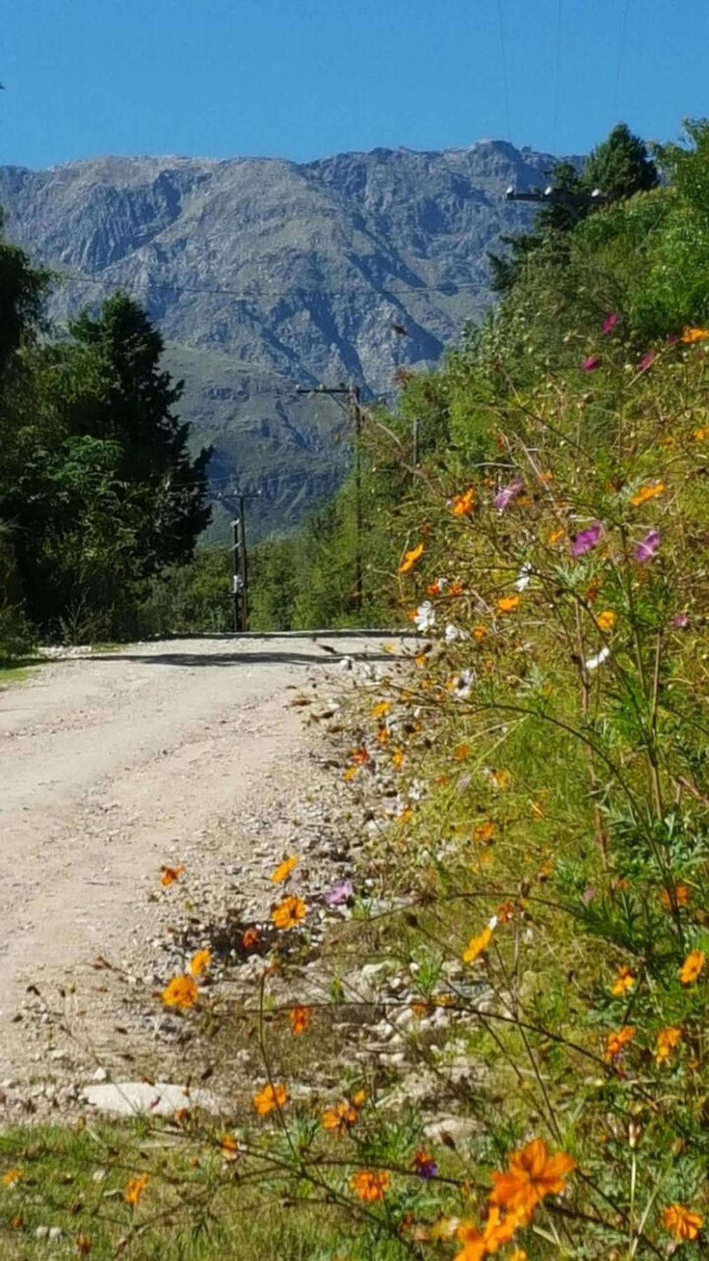 Las Dalias Villa Las Rosas Dış mekan fotoğraf